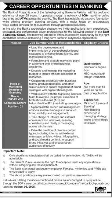 Jobs in The Bank of Punjab-1